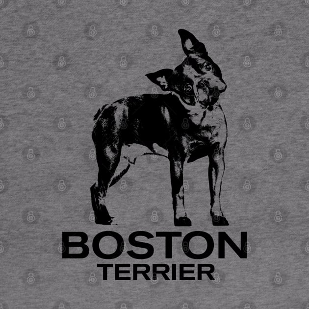 Boston Terrier by Nartissima